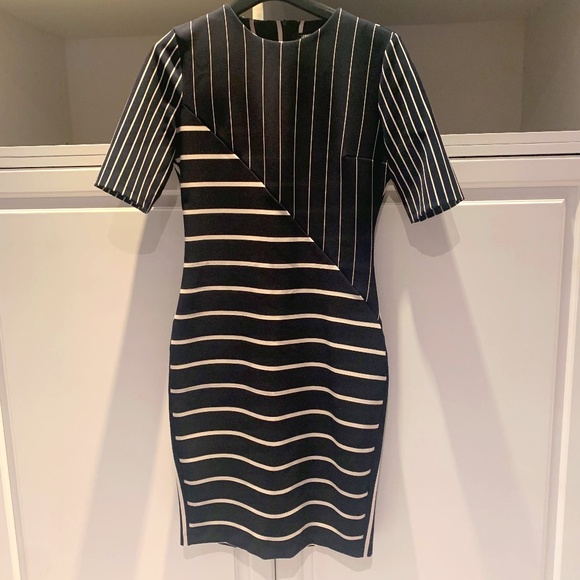 Figure Flattering Zara Dress - Picture 2 of 3